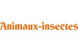 animaux - insectes